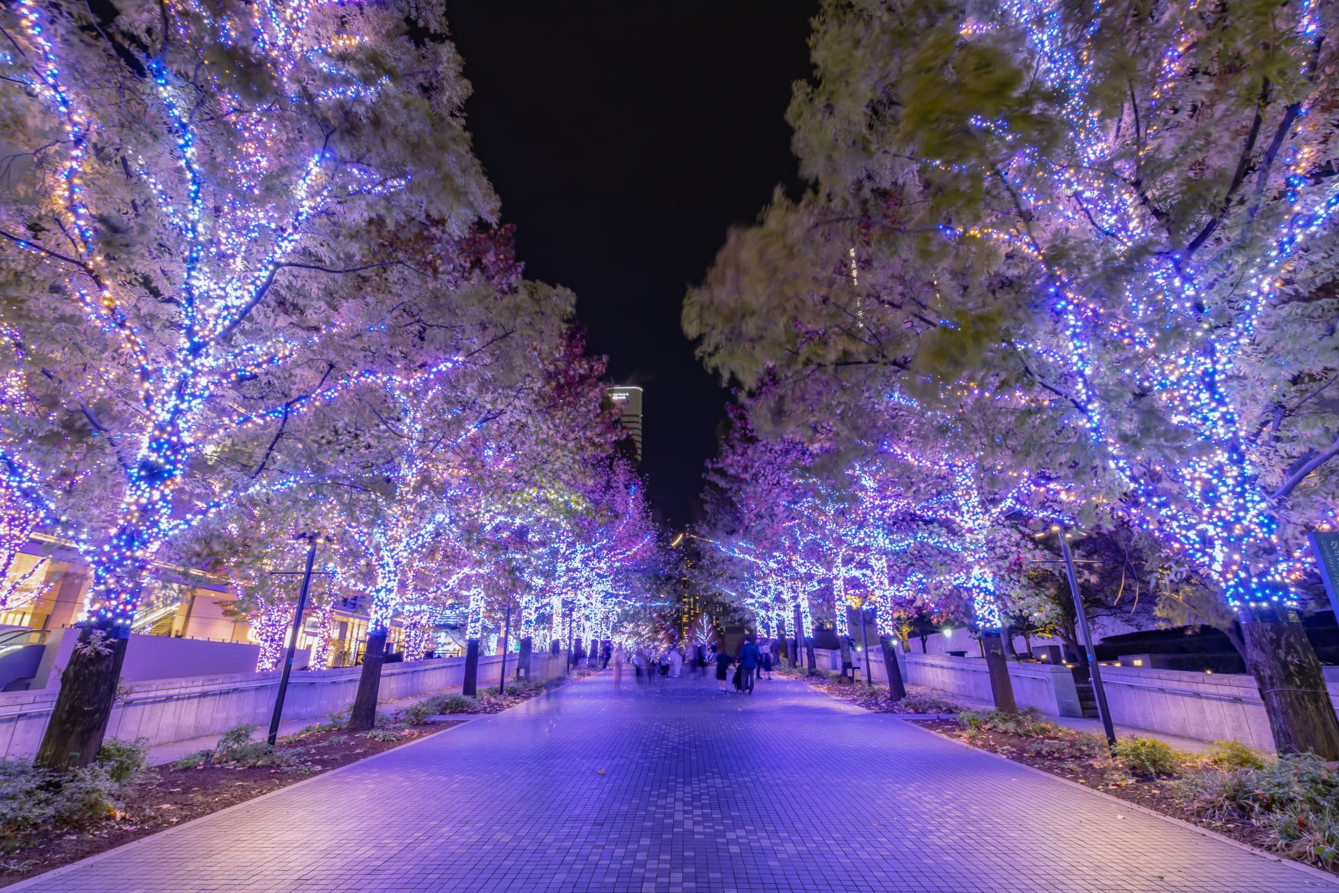 イルミネーションイベントはどうやって採算を取るのかを解説するイメージ画像